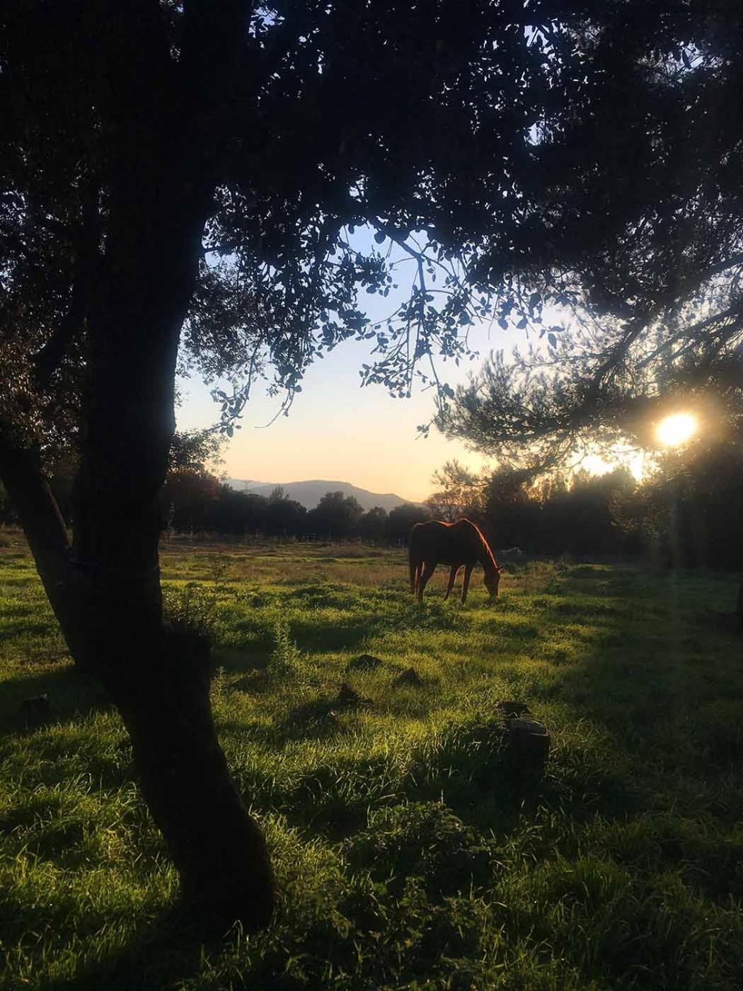 Вилла Centre Mediation Equine La Daouste Jouques Экстерьер фото