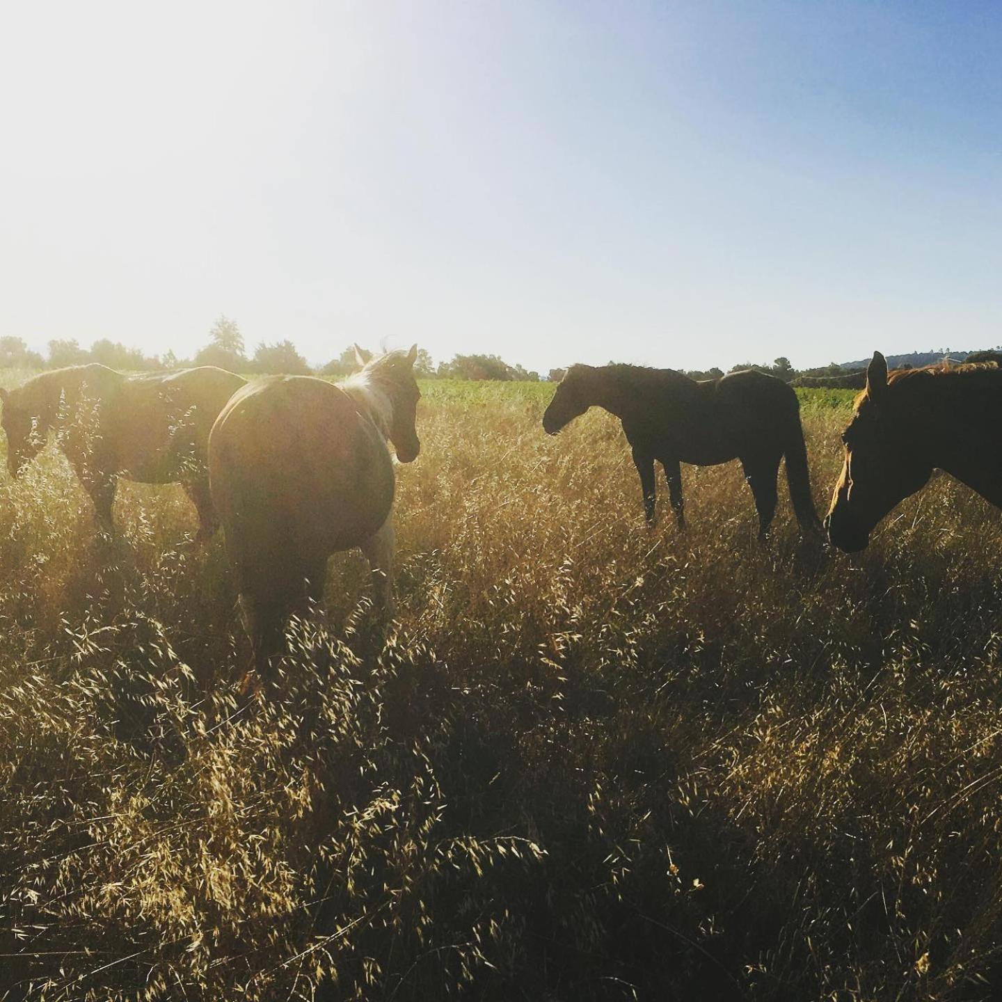Вилла Centre Mediation Equine La Daouste Jouques Экстерьер фото