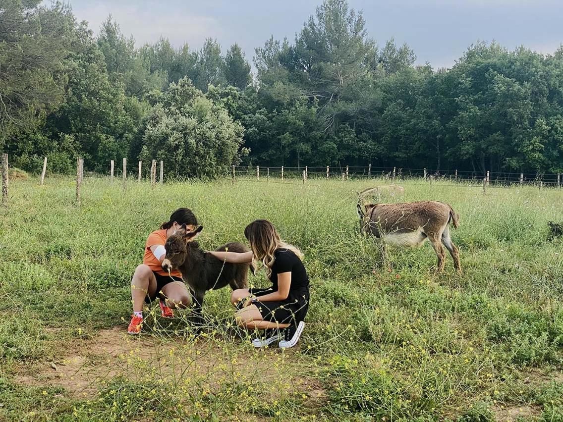 Вилла Centre Mediation Equine La Daouste Jouques Экстерьер фото