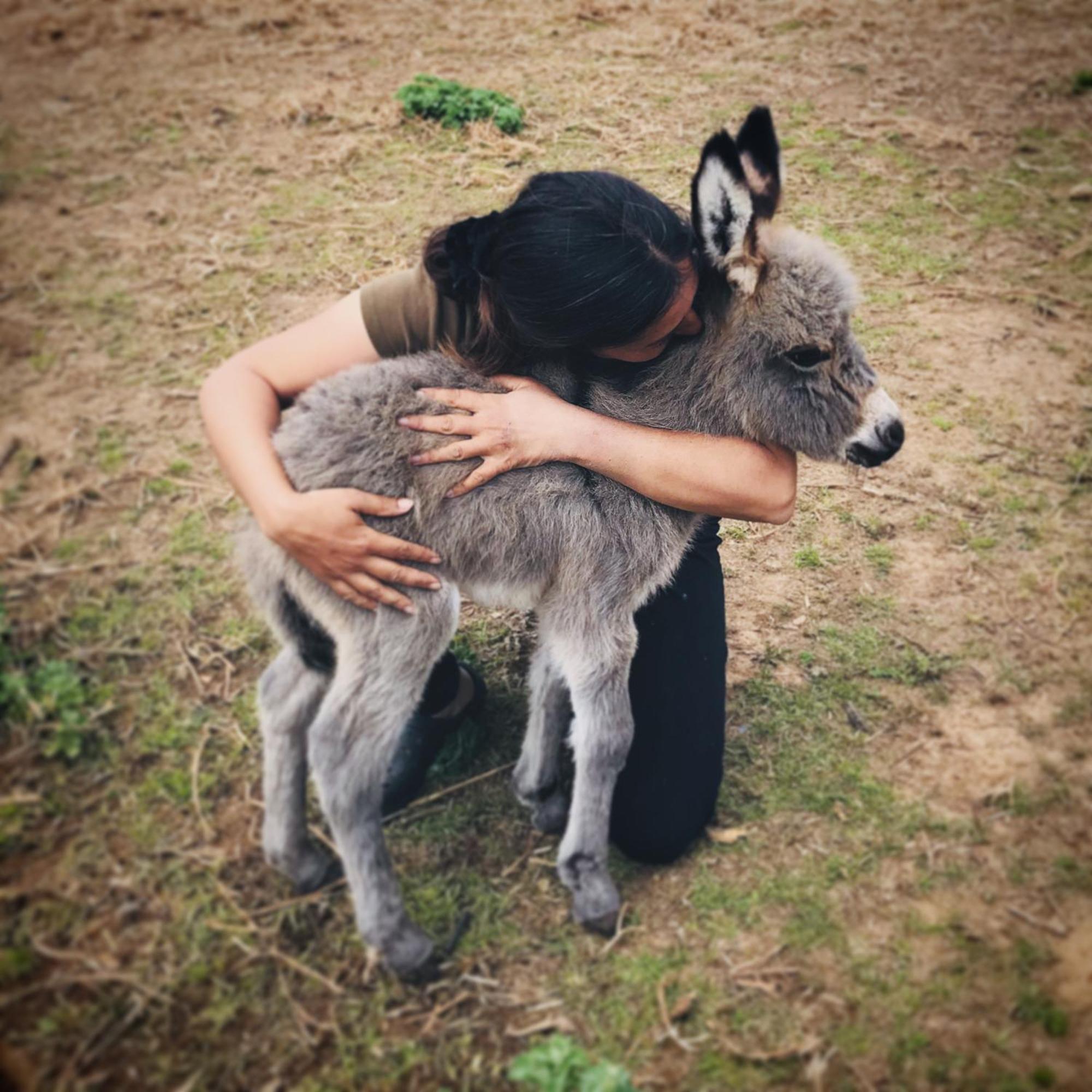 Вилла Centre Mediation Equine La Daouste Jouques Экстерьер фото